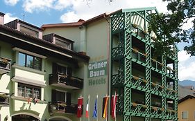 Hotel Grüner Baum